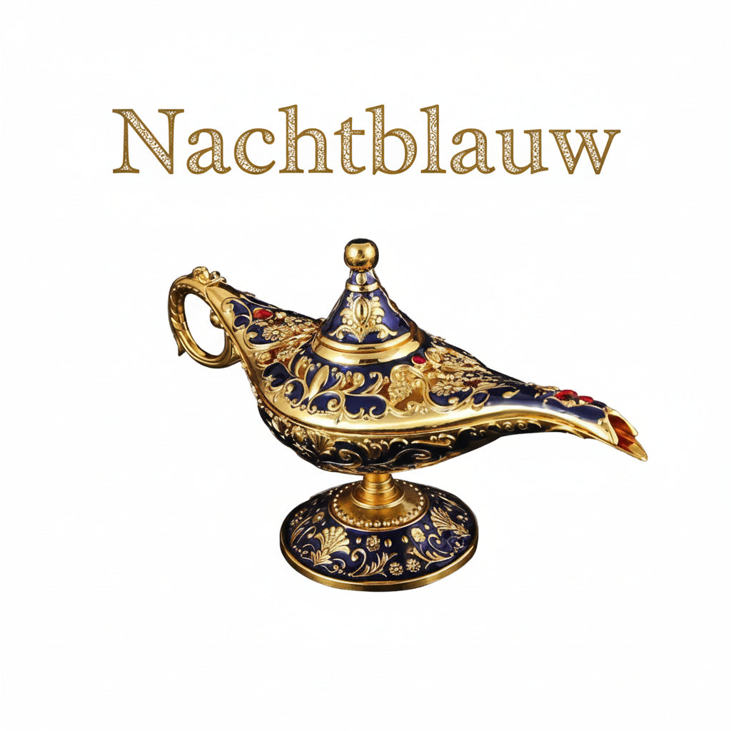 Aladdin Wenslamp | Breng de Magie in Huis